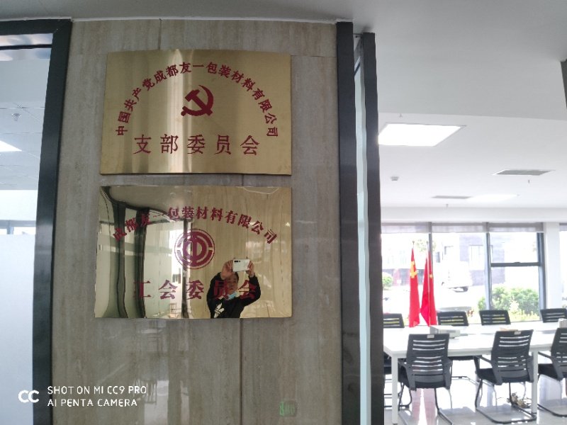 热烈祝贺USDT数字钱包集团成都分公司党支部在2020年3月11日授牌成立，支部书记曹云(行政部经理)